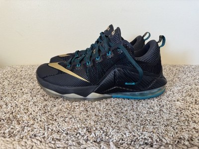 Nike Lebron XII 12 Low Carbon Fiber, 724557-070, Men's Basketball