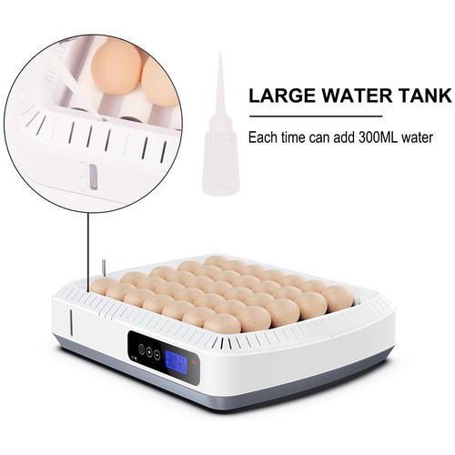 Incubadora De Huevos Automatica Para Huevos De Pato Gallina Codorniz Huevos - Bild 6 von 12