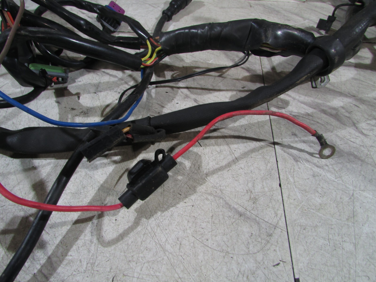 Picture 3