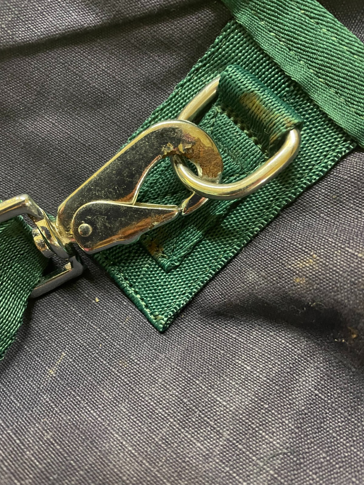 Lightweight Turnout Rugs No Fill Ripstop eBay