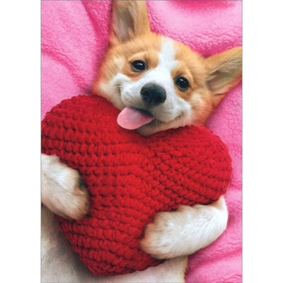 Corgi Holding Heart Pillow on Pink Blanket Cute Dog Valentine's
