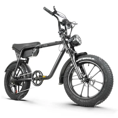 CMACEWHEEL 20 Zoll E-Mountainbike Fatbike Elektrofahrrad 48V 17AH Akku Herren E-Bike 25km/h