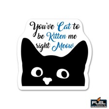 You've Cat to be Kitten Me Right Meow Vinyl Decal