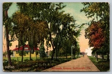 Vintage Riverside Avenue Jacksonville Florida Postcard 1915 Scenic View