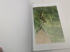 Picture 4 of 6