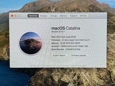 Macデスクトップ Apple iMac 21.5-inch OS Catalina patch Apple iMac 21.5