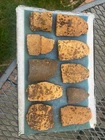 New ListingGroup of Civil War Artillery Dug Chattanooga, Tennessee