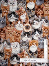 Kitty Cat Animals Kittens Fabric Adorable Pets Cotton 3802 Elizabeths By Yard