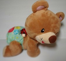 VTech Explore  Crawl Learning Cub Talking Moving Musical Interactive Bear Video