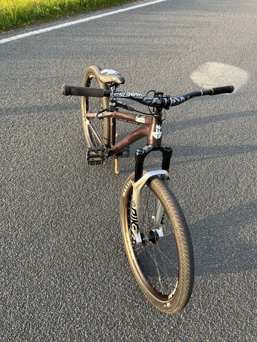 Dirt Jump Bike Custom Mountainbike Slopestyle Fahrrad Beddo Sway Bmx - Bild 19 von 20