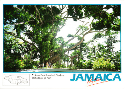 Jamaica Shaw Park Botanical Gardens Postcard Unposted Ray Chen