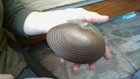 VTG Brass Clam Shell Trinket Box Hinged Lid Coastal Beach Nautical Decor 5.25" — photo 9