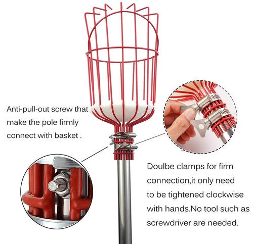 Fruit Picker Tool, Fruit Picker with Basket and Pole Easy to Assemble & Use F... - Picture 3 of 6
