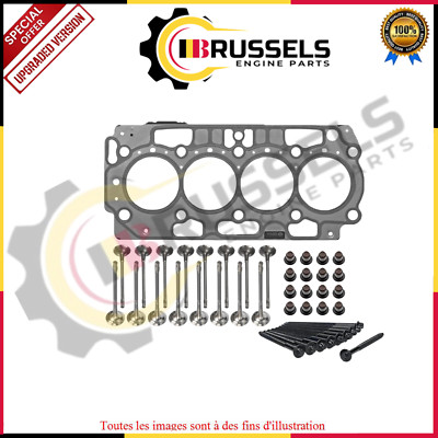 Citroen 1.5 Diesel Yhz (DV5RC) Ventile Mit Zylinderkopfdichtung & Teile!