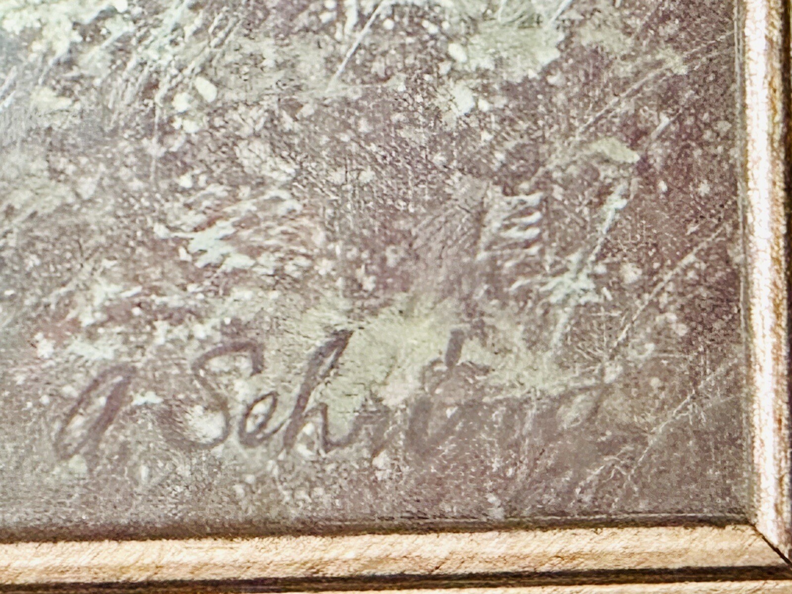 Picture 8 of 16