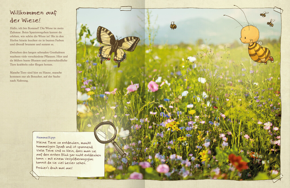 Thumbnail - Die Kleine Hummel Bommel Entdeckt Die Wiese | Britta Sabbag, Maite