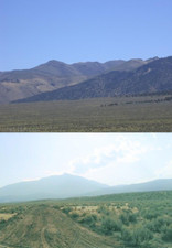 40 AC COWBOY LAND NV, CASH OR $700 DOWN $314.42/MO. RD, LEGAL ACCESS, NEAR MTNS