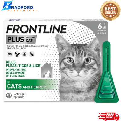 FRONTLINE Plus Flea & Tick Treatment for Cats and Ferrets - 6 Pipettes ...
