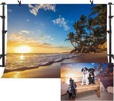 10X7Ft Sunset Beach Palm Tree Background for Summer Vacation Photography Backdro