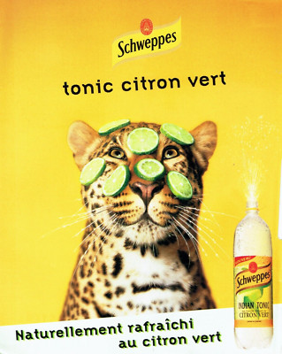Werbung Advertising 1022 2001 Schweppes Limonade L mit grüner Zitrone