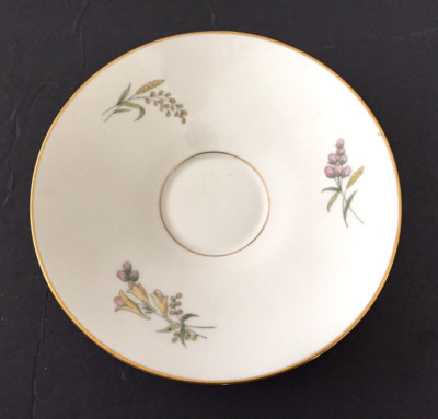 Rosenthal Continental Bettina SUMMER BLOSSOMS IVORY 3179 - TEA CUP SAUCER