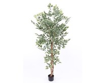 Kunstbaum Ficus Benjamini GrüN-Weisse BläTter HöHe 150Cm Von Ibizanos