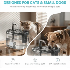 Automatic Pet Water Fountain in Black