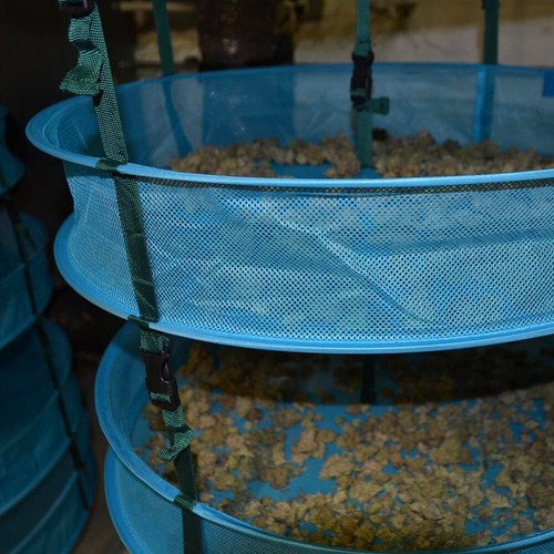 2ft Dry rack, Herb Drying Rack, grow room Net dryer Herb rack, SCALE INCLUDED - Picture 3 of 16