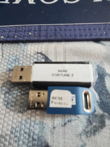 SG SCIENTIFIC GAMING FORTUNES 3 88, ECHO, FU DADDY FORTUNES SLOT SOFTWARE DONGLE - Bild 4 von 4