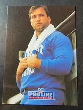 1991 Pro Line Portraits Football #153 Chris Spielman 