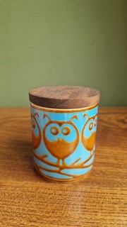 Rare vintage 1974 Hornsea Pottery 'Owls' storage Jar by John Clappison/ Hornsea