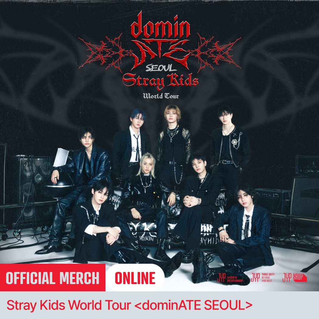straykids リノ HI-STAY in SEOUL ポスター ハイステイ straykids リノ HI-STAY in SEOUL ポスター ハイステイ