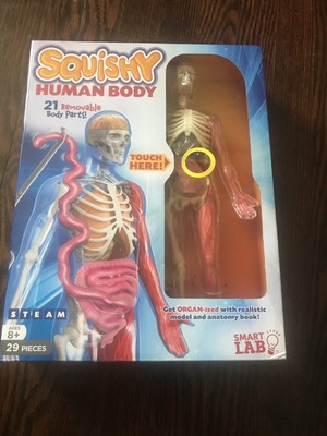 smart lab squishy human body