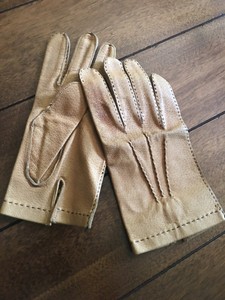 daniel hays gloves