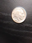 BUFFALO NICKEL 1937-D DOUBLE PROFILE OF FACE ?