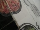 Picture 8 of 9