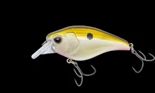 Nomad Designs Atlas 55 Square Bill Crankbait 2 " - 3/8oz Free Shipping Within US