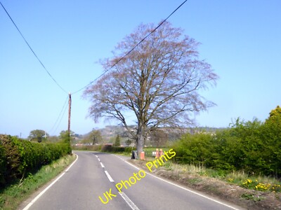 Photo 12x8 Beech tree at the entrance to Beechfield Farm Domgay A very fin c2015