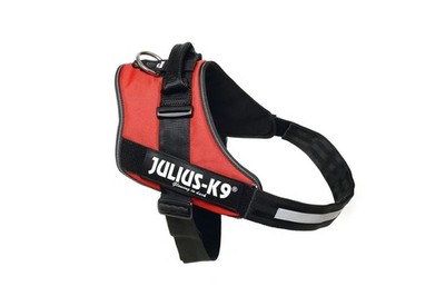 Julius K9 Hundegeschirr rot Größe 4 - 96 - 138 cm