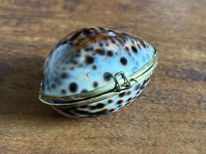 Vintage Seashell Clam Locket with Black Pearl