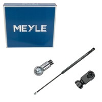 Meyle 7409100037 HeckklappendäMpfer FüR Ford Mondeo IV Turnier BA7 1477988