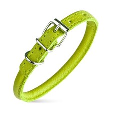 Dog Pet Round Leather Collar W1/4" - L6"-8", Green