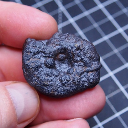 39mm Ammonite Hematite Morocco Jurassic Fossil Ammoniten 190 - Picture 10 of 16
