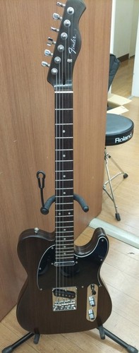 BACCHUS BTE-TW NS Electric Guitar