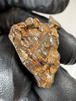 Echter Meteorit 80,5 Karat Milliarden Jahre Alt Argentinien Eisen Nickel Natur