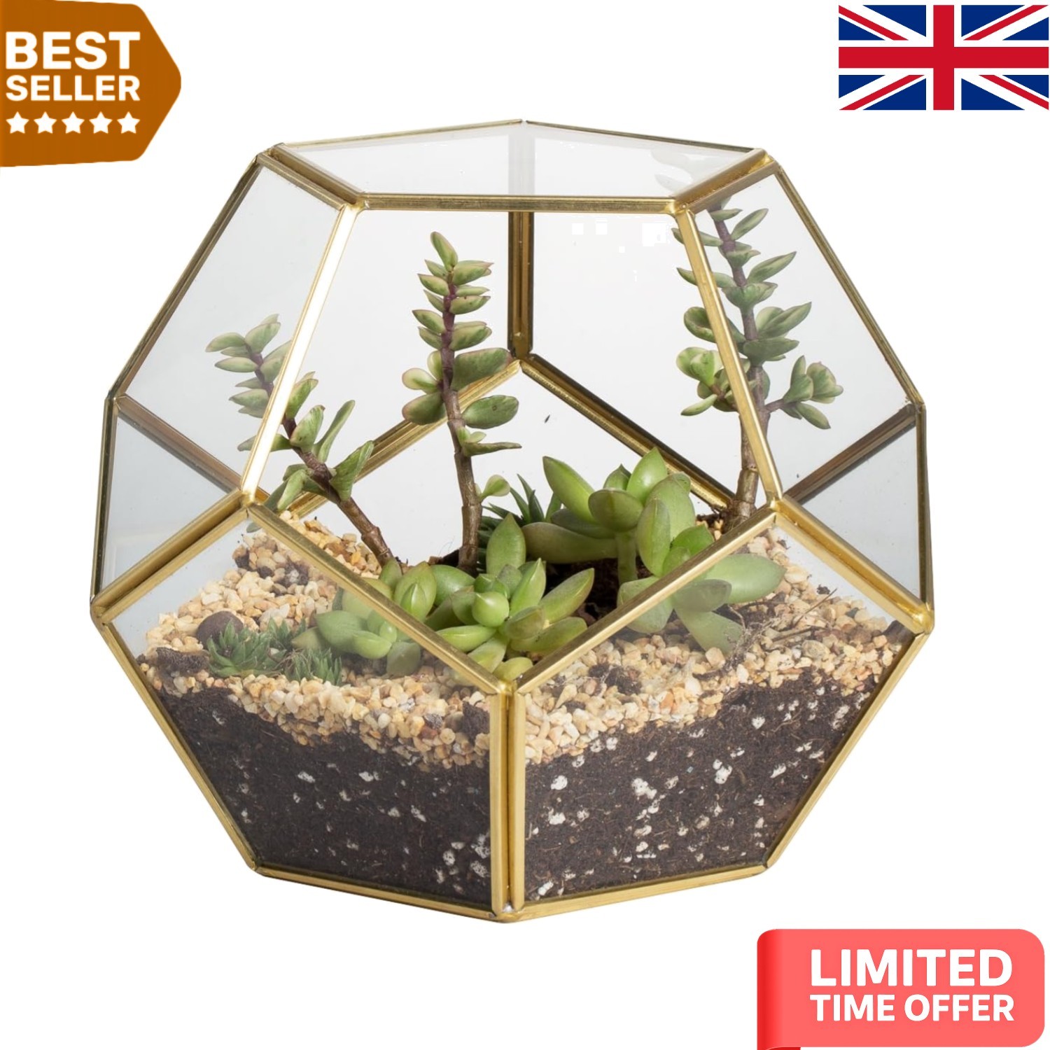 Artistic No Door Terrarium for Succulents - 17.5x17.5x15cm Glass Centerpiece