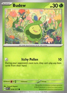 Budew Common ME: Ascended Heroes 016/217 NM