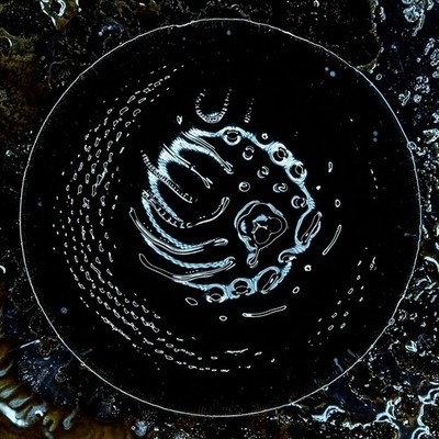 Stonus Stonus (CD) Album