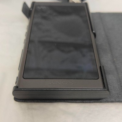 Sony Walkman NW-A50 Series 64GB Digital Audio MP3 Music Player