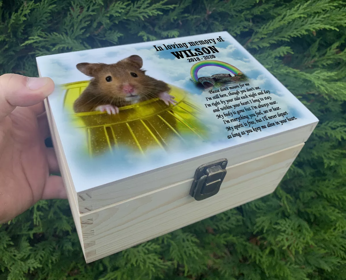 Hamster pet near me 2025